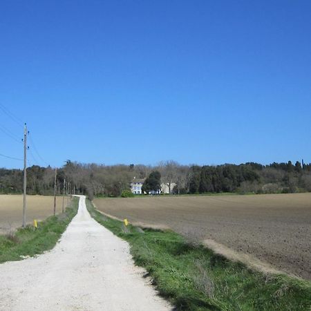 Chambres D'Hotes Domaine Saint-Joly Lasbordes Bagian luar foto
