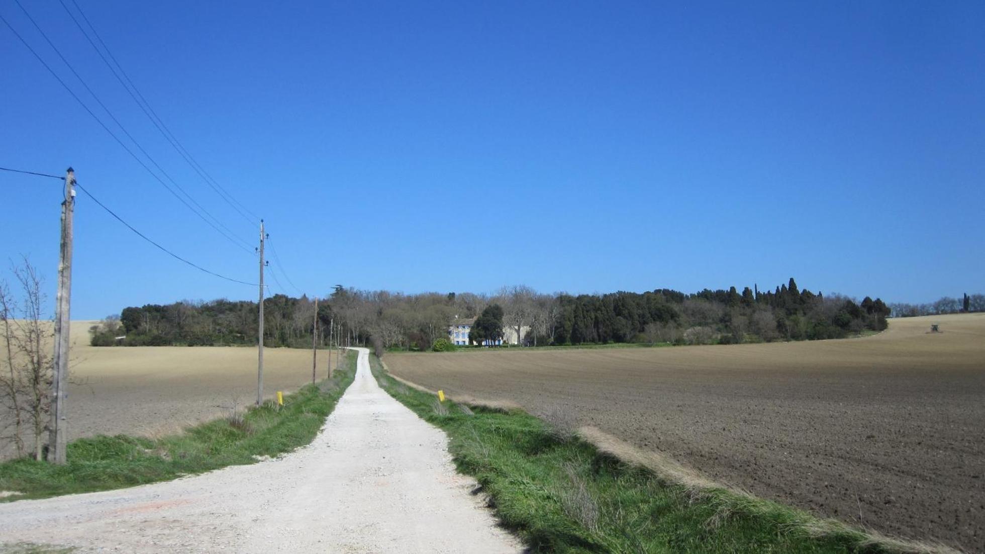 Chambres D'Hotes Domaine Saint-Joly Lasbordes Bagian luar foto